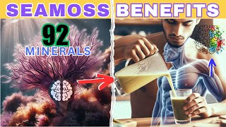 11 SEAMOSS Benefits  The ULTIMATE Seamoss Breakdown From SEA to SUPERFOOD [upl. by Zirkle]