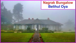 Beautiful Nagrak Bungalow  සුන්දර නැග්රක්‌ බංගලාව Non Pareil Estate Belihul Oya 2015 [upl. by Akeyla]