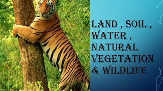 Land  Soil  Water  Natural Vegetation amp Wildlife  CBSE class 8 chapter 2 geography  Social [upl. by Fregger]