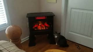 Duraflame Electric Infrared Quartz Fireplace Stove with 3D Flame Effect Review [upl. by Sapers307]