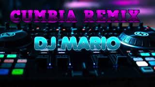 CUMBIA FIESTERA REMIX 2024 [upl. by Landry]