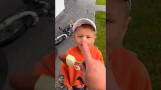 funny icecream love dog food smartpet ytshorts smartpets shortsfeed shorts viralvideo [upl. by Woolcott194]