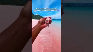 Komodo Islands Pink Beach in Indonesia is a one of nature a kind experience💕 nature [upl. by Nnaed]