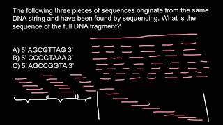 DNA Sequencing [upl. by Karlan]