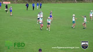 Tipperary Camogie Live Stream [upl. by Stich211]