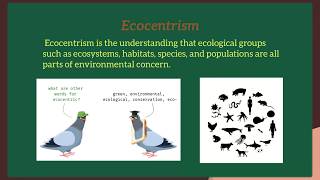 Environmental Ethics [upl. by Whall]