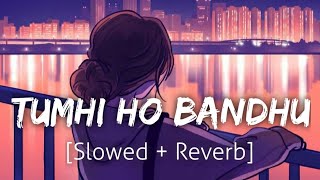 Tumhi Ho Bandhu SlowedReverb  Neeraj Shridhar  Lofi  Textaudio  Revibe [upl. by Altheta]