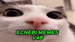 ECNEBI MEMES V48 [upl. by Ola]