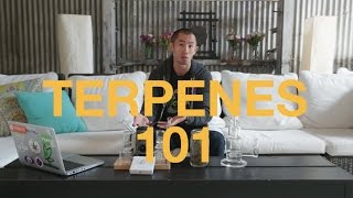 VapeXhale Tip of the Week  Terpenes 101  420 Edition [upl. by Ariel952]