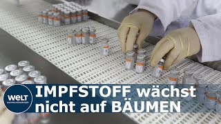 IMPFSTOFF PRODUKTION Wo werden CoronaImpfstoffe hergestellt und von wem [upl. by Llevra]