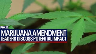 Potential impact of recreational marijuana amendment [upl. by Leia]