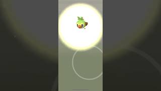 Pokemon GO Hatching 25K Eggs Yay or nay pokemongo hatching pokemon egghatching grookey [upl. by Namzaj]