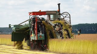 Flax harvest  vlas plukken  récolte de lin  DePoortere flax machine [upl. by Murrell]