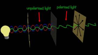 Polarization  Polarizer  Explained and animated 3d [upl. by Odinevneib]