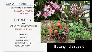 Botany field report  Field report  Trip report  Xerophytic plants [upl. by Nilesoy627]