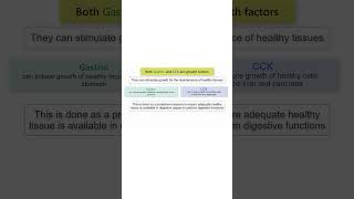 GASTRIN CCK FUNCTION [upl. by Itsirhc]