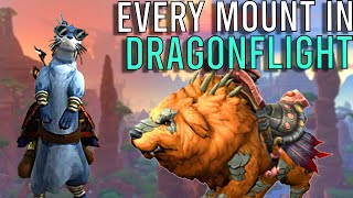 Complete Guide to Every Mount in Dragonflight [upl. by Botsford]