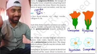 Morphology of flowering plants part 5Class 11Parts of flower  NEET AestivationPlacentation [upl. by Christiansen]