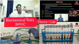 Biochemical Tests  IMViC  Tamil  Microbiology  Indole  MRVP  Citrate  Biology ThiNK VISION [upl. by Margalit]