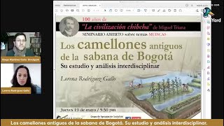 Los camellones antiguos de la sabana de Bogotá Su estudio y análisis interdisciplinar [upl. by Oz]