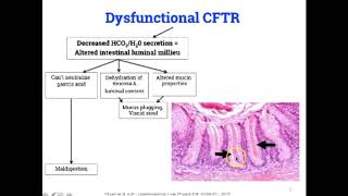 Cystic Fibrosis Gastrointestinal Manifestations Part 1 [upl. by Brigitta]