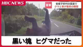 【衝突の瞬間】乗用車の前に飛び出して来たのは…ヒグマ 車と衝突して立ち上がり藪の中へ「クマだと気づいたのはぶつかる直前…」 北海道音威子府村 [upl. by Eecrad]