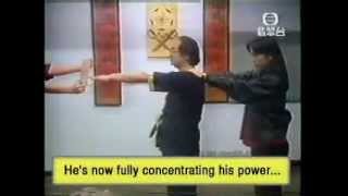 Leung Ting Wing Tsun 2 [upl. by Couhp870]