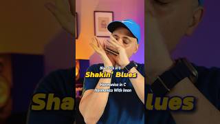 Master the Shakin Blues Harmonica Shake Technique Unveiled [upl. by Seilenna665]