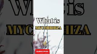 What is Mycorrhiza shorts facts biology [upl. by Cida]