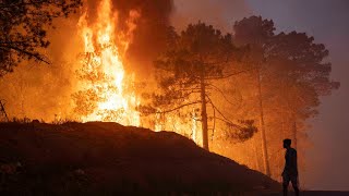 Réchauffement climatique  le coût des catastrophes naturelles atteint des sommets • FRANCE 24 [upl. by Aicinet]