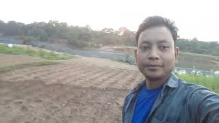 Moly ka Garden Moly Moly Vegetable vedio virals garden moly ytstudio vegetables [upl. by Alyahc]