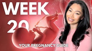 20 Weeks Pregnant  Your WeekbyWeek Pregnancy Guide [upl. by Ferna549]