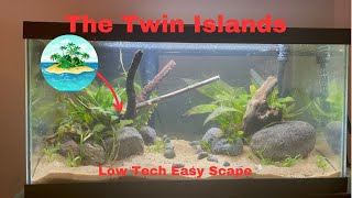 How To Set Up an EASY Twin Island Low Tech Aquascape Full How To Guide [upl. by Oster]