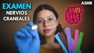 asmr 👩🏻‍⚕️EXAMEN de NERVIOS CRANEALES🧠 Muy Detallado  Roleplay Medico Vivalen ASMR [upl. by Aetnuahs]