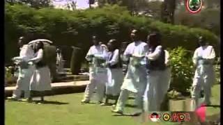 Oromo Music  Traditional Band Jimma [upl. by Kcired683]