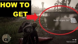 How to get perfect alligator pelt skin  Red dead redemption 2 [upl. by Chiou]