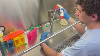 Splitting Cells Cell Culture  Updated  CBEC Cell Block [upl. by Oberg]