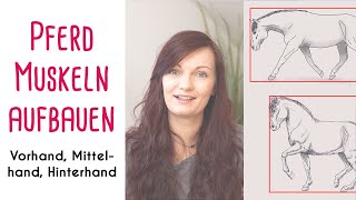 Muskeln aufbauen Pferd Vorhand Mittelhand amp Hinterhand [upl. by Rysler]