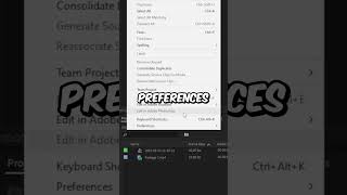 How To Delete Media Cache Files in Premiere Pro [upl. by Zoes]