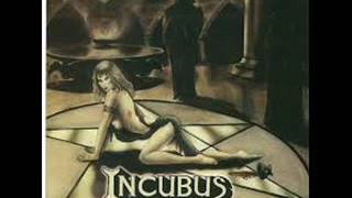 Incubus  Youve Taken My Love [upl. by Laeria]