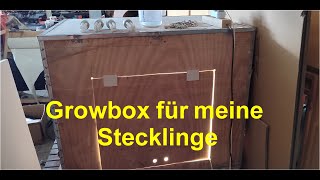 Growbox für meine Stecklinge [upl. by Eanod]