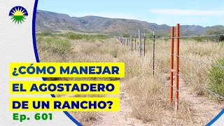 601 ¿Cómo manejar el agostadero de un rancho [upl. by Fast]