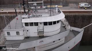 Ships OJIBWAY amp SAGINAW on the Welland Canal delayed by a stuck gate at Lock 5 2018 [upl. by Avehstab]