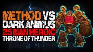 Method vs Dark Animus 25 Heroic World First [upl. by Marfe]