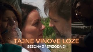 Tajne vinove loze 3 sezona 21 epizoda  Anja se budi iz kome Vera i Zoran na korak do poljupca [upl. by Llenra]