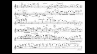 Bartok B mvt1 1st violin concerto [upl. by Eicram]