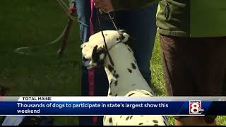 Southern Maine Coastal Classic Dog Show this weekend in Scarborough [upl. by Salohci]