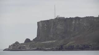 Coastguard Dog Rescue At Berry Head Brixham December 15th 2021 [upl. by Gelasias]