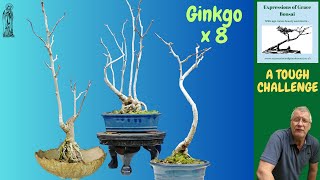 TIPS amp ADVICE for developing Ginkgo as Bonsai [upl. by Yebba882]