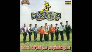 Los Cantaritos Del Ritmo  Los Cantaritos Del Ritmo Disco Completo [upl. by Iahk412]